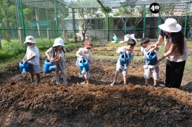 อนุบาล ๑ ปลูกผักสวนครัว (๑๔, ๒๐ ม.ค.๖๙) Image 8