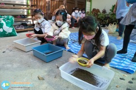 อนุบาล ๓ ปลูกผักสวนครัว (๑๓, ๑๕ ม.ค.๖๙) Image 2