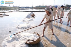 ป.๓ ทัศนศึกษา นาเกลือ จ.สมุทรสงคราม (๕ กุมภาพันธ์ ๒๕๖๙) Image 2