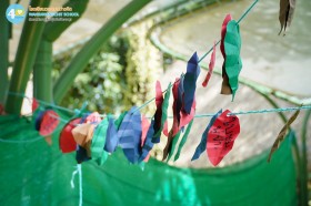 ป.๖ งานผลิใบจากต้นกล้าสู่ไม้งาม "ธรรมชาติคู่ชีวิต" (๒๐ ... Image 5