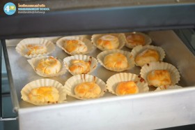 ป.๖ งานผลิใบจากต้นกล้าสู่ไม้งาม "ธรรมชาติคู่ชีวิต" (๒๐ ... Image 8