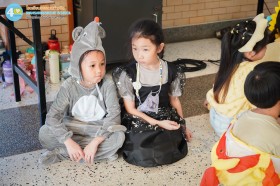 ป.๑ งานผลิใบ ยอดอ่อนของต้นกล้า "ท่องอาณาจักรรอบตัว" (๒๘ ... Image 4