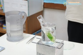 ป.๔ ... Image 1