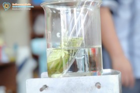 ป.๔ ... Image 6
