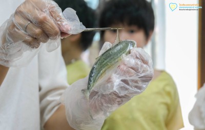 กิจกรรมโครงสร้างภายในของสัตว์ ป.๔ (๒ มิ.ย.๖๙) 🐟🦑🦐 Image 1