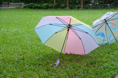 อนุบาล 1 สนุกกับฝน (11 มิ.ย.69) Image 1