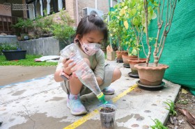 ป.๒ ปลูกดอกเทียนซ้อน (๑๙ มิ.ย.๖๙) Image 6