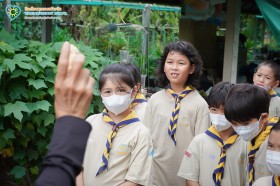 ป.๓ เก็บเห็ดฟางกันเถอะ (๙ ก.ค.๖๙) Image 8