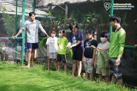ป.๕ กิจกรรม "ถอนกล้า ปักดำ "วิถีชาวนา...จากแปลงนาสู่ต้นข้าว" Image 2