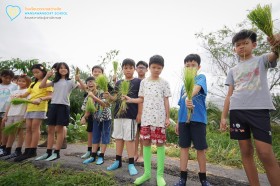 ป.๕ กิจกรรม "ถอนกล้า ปักดำ "วิถีชาวนา...จากแปลงนาสู่ต้นข้าว" Image 4