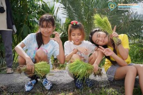 ป.๕ กิจกรรม "ถอนกล้า ปักดำ "วิถีชาวนา...จากแปลงนาสู่ต้นข้าว" Image 7