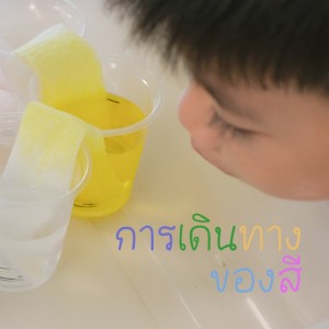 อนุบาล ๓ การเดินทางของสี (๖ ก.ค.๖๙) Image 1