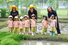 น้องเด็กเล็กถอนกล้าข้าว ย่ำดิน และปลูกข้าว (๒๒-๒๓ ก.ค. ๖๙) Image 3