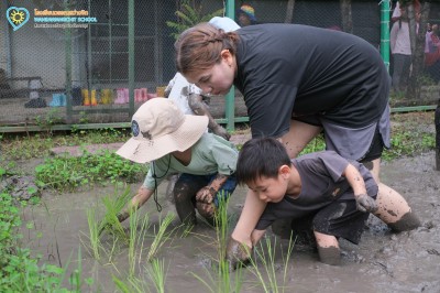 อนุบาล ๑ ถอนกล้า ย่ำดินและดำนา (๒๒-๒๓ ก.ค.๖๙) Image 1