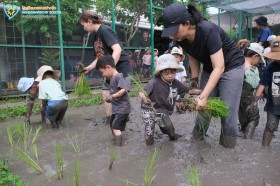 อนุบาล ๑ ถอนกล้า ย่ำดินและดำนา (๒๒-๒๓ ก.ค.๖๙) Image 8