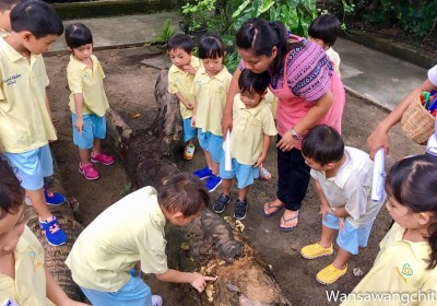 เห็ดของหนู Image 1