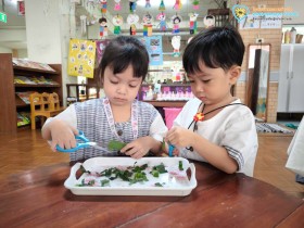 อนุบาล ๑-๓ "ขนมเปียกปูนใบเตย" ขนมไทยแทนใจมอบให้แม่ (๑๑ ... Image 7