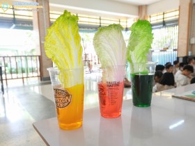 ป.๑ กิจกรรมปิดภาคเรียน "มวลมิตรสัมพันธ์” (จ. ๑๗ สิงหาคม ... Image 1
