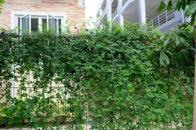 สวนเกษตร Image 120