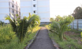 สวนเกษตร Image 70