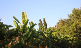 สวนเกษตร Image 60