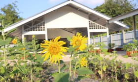 สวนเกษตร Image 41