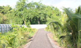 สวนเกษตร Image 86