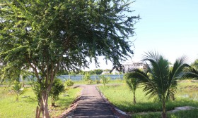 สวนเกษตร Image 29
