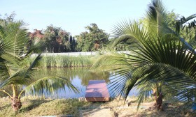สวนเกษตร Image 18