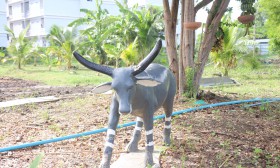สวนเกษตร Image 39