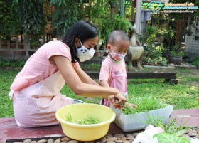 กิจกรรมเกษตรบ้านเด็กเล็ก (เก็บต้นอ่อนผักบุ้ง) 28 ม.ค.65 Image 3