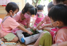 กิจกรรมเกษตรบ้านเด็กเล็ก (เก็บต้นอ่อนผักบุ้ง) 28 ม.ค.65 Image 7
