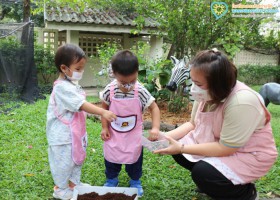 กิจกรรมเกษตรบ้านเด็กเล็ก (ปลูกต้นทานตะวัน) 10,11,14 ก.พ.65 Image 4