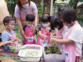 กิจกรรมเกษตรบ้านเด็กเล็ก เก็บต้นอ่อนทานตะวัน 21 ก.พ. 65 Image 3