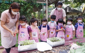 กิจกรรมเกษตรบ้านเด็กเล็ก เก็บต้นอ่อนทานตะวัน 21 ก.พ. 65 Image 4